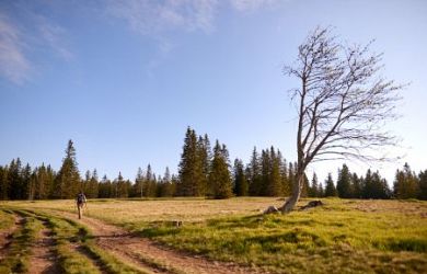 Pohorje