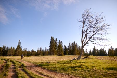 Pohorje